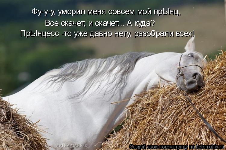 Фу-у-у, уморил меня совсем мой прЫнц, Все скачет, и скачет... А куда? ПрЫнцесс -то уже давно нету, ра... Котоматрица: Фу-у-у, уморил меня совсем мой прЫнц, Все скачет, и скачет... А куда? ПрЫнцесс -то уже давно нету, разобрали всех!