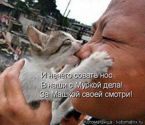 И нечего совать нос В наши с Муркой дела! За Машкой своей смотри!... Котоматрица: И нечего совать нос В наши с Муркой дела! За Машкой своей смотри!