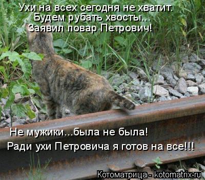 Котоматрица: Ради ухи Петровича я готов на все!!! Не мужики...была не была! Ухи на всех сегодня не хватит. Будем рубать хвосты...  Заявил повар Петрович!