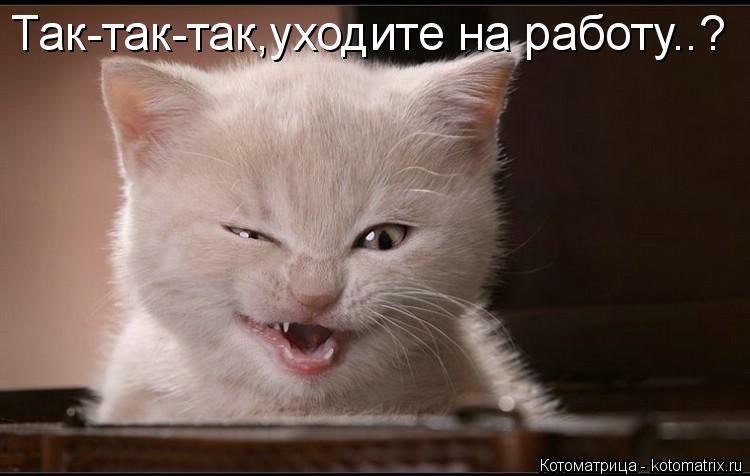 Котоматрица: Так-так-так,уходите на работу..?