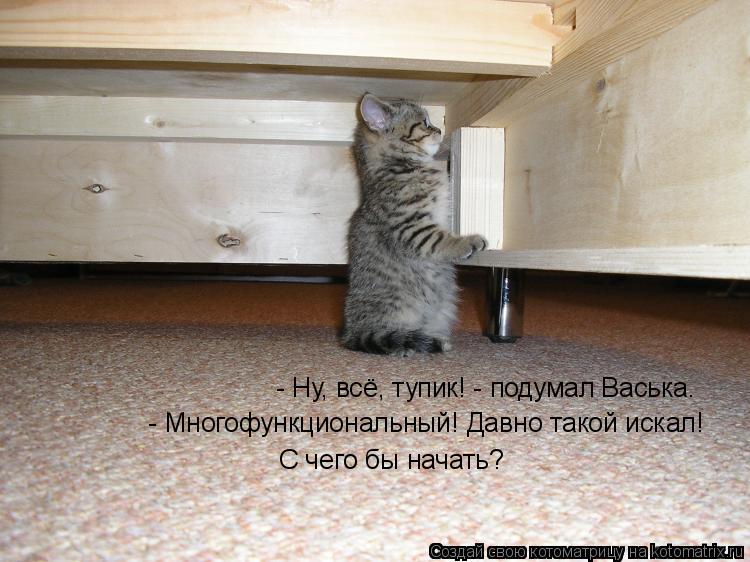 - Ну, всё, тупик! - подумал Васька. - Многофункциональный! Давно такой искал! С чего бы начать?... Котоматрица: - Ну, всё, тупик! - подумал Васька. - Многофункциональный! Давно такой искал! С чего бы начать?