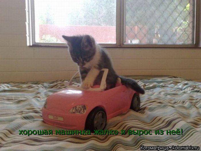 хорошая машинка жалко я вырос из неё!... Котоматрица: хорошая машинка жалко я вырос из неё!