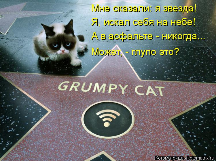 Мне сказали: я звезда! Я, искал себя на небе! А в асфальте - никогда... Может, - глупо это?... Котоматрица: Мне сказали: я звезда! Я, искал себя на небе! А в асфальте - никогда... Может, - глупо это?