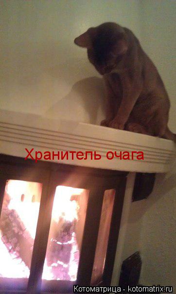 Хранитель очага... Котоматрица: Хранитель очага