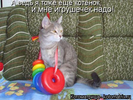 А ведь я тоже ещё котёнок, и мне игрушечек надо!... Котоматрица: А ведь я тоже ещё котёнок, и мне игрушечек надо!