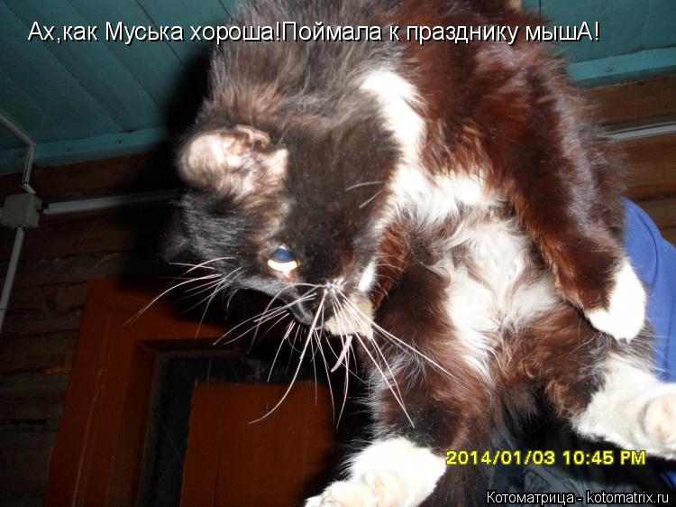 Ах,как Муська хороша!Поймала к празднику мышА!... Котоматрица: Ах,как Муська хороша!Поймала к празднику мышА!