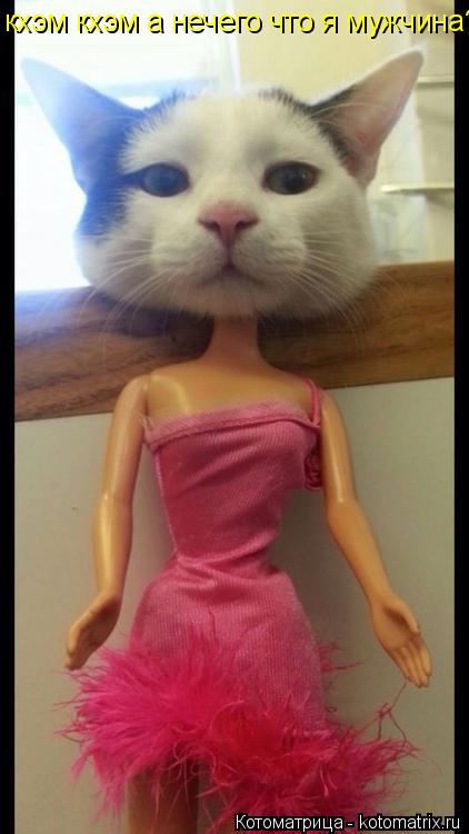 кхэм кхэм а нечего что я мужчина?... Котоматрица: кхэм кхэм а нечего что я мужчина?