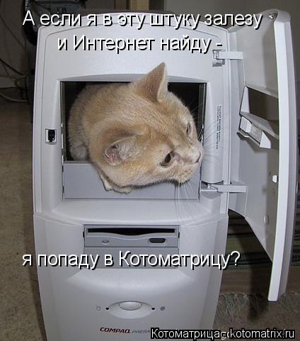 А если я в эту штуку залезу и Интернет найду - я попаду в Котоматрицу?... Котоматрица: А если я в эту штуку залезу и Интернет найду - я попаду в Котоматрицу?