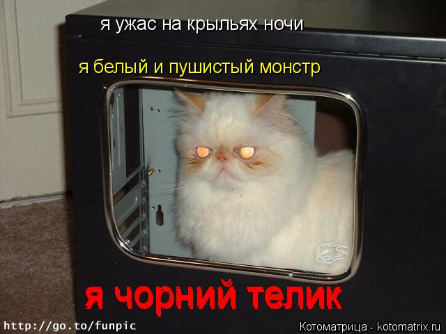 я ужас на крыльях ночи я белый и пушистый монстр я чорний телик я чорний телик... Котоматрица: я ужас на крыльях ночи я белый и пушистый монстр я чорний телик я чорний телик