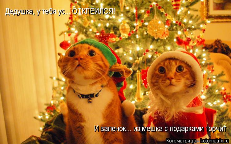 Дедушка, у тебя ус... ОТКЛЕИЛСЯ! И валенок... из мешка с подарками торчит... Котоматрица: Дедушка, у тебя ус... ОТКЛЕИЛСЯ! И валенок... из мешка с подарками торчит