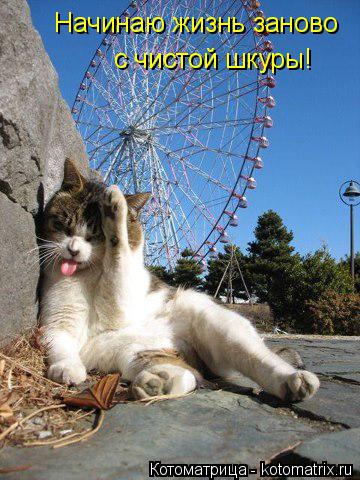 Котоматрица: Начинаю жизнь заново  с чистой шкуры!