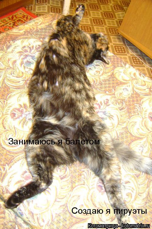 Занимаюсь я балетом Создаю я пируэты... Котоматрица: Занимаюсь я балетом Создаю я пируэты