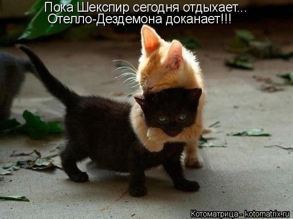 Котоматрица: Шекспир сегодня отдыхаег Пока Шекспир сегодня отдыхает... Отелло-Дездемона доканает!!!