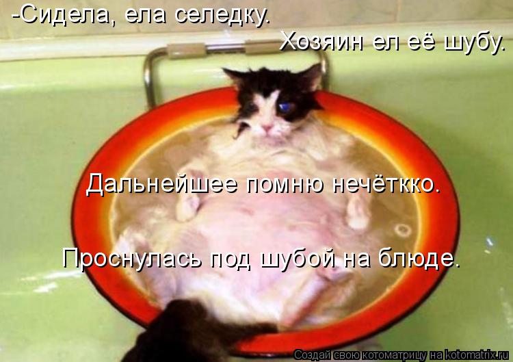 -Сидела, ела селедку. Хозяин ел её шубу. Дальнейшее помню нечёткко. Проснулась под шубой на блюде.... Котоматрица: -Сидела, ела селедку. Хозяин ел её шубу. Дальнейшее помню нечёткко. Проснулась под шубой на блюде.