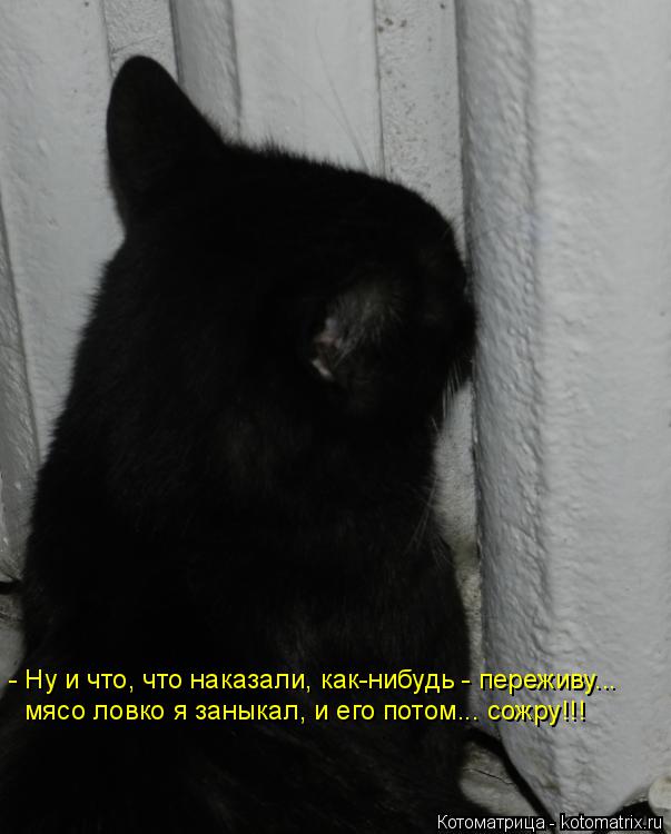 - Ну и что, что наказали, как-нибудь - переживу... мясо ловко я заныкал, и его потом... сожру!!!... Котоматрица: - Ну и что, что наказали, как-нибудь - переживу... мясо ловко я заныкал, и его потом... сожру!!!