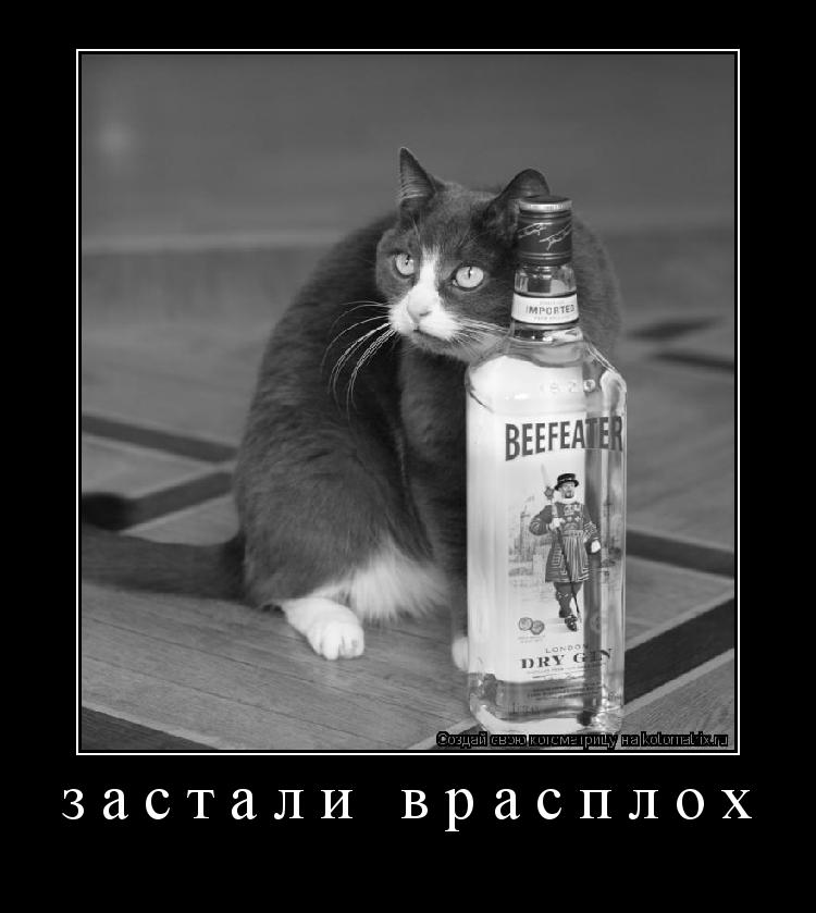 Котоматрица: застали врасплох 