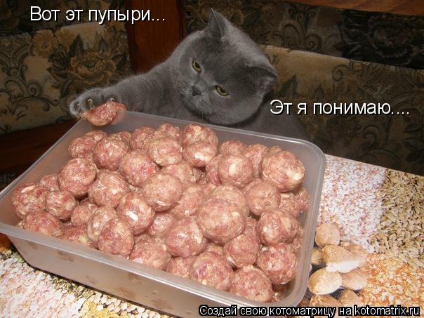 Вот эт пупыри... Эт я понимаю....... Котоматрица: Вот эт пупыри... Эт я понимаю....