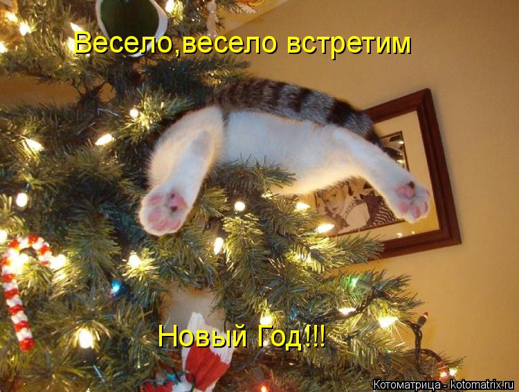 Весело,весело встретим Новый Год!!!... Котоматрица: Весело,весело встретим Новый Год!!!