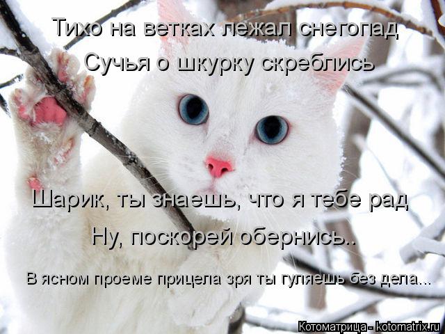 Тихо на ветках лежал снегопад Сучья о шкурку скреблись Шарик, ты знаешь, что я тебе рад Ну, поскорей ... Котоматрица: Тихо на ветках лежал снегопад Сучья о шкурку скреблись Шарик, ты знаешь, что я тебе рад Ну, поскорей обернись.. В ясном проеме прицела зря ты