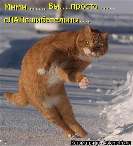 Мммм....... Вы....просто...... сЛАПсшибательны....... Котоматрица: Мммм....... Вы....просто...... сЛАПсшибательны....