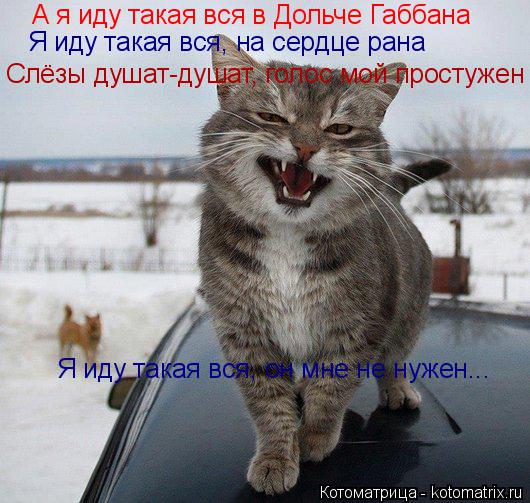 А я иду такая вся в Дольче Габбана Я иду такая вся, на сердце рана Слёзы душат-душат, голос мой прос... Котоматрица: А я иду такая вся в Дольче Габбана Я иду такая вся, на сердце рана Слёзы душат-душат, голос мой простужен Я иду такая вся, он мне не нужен...