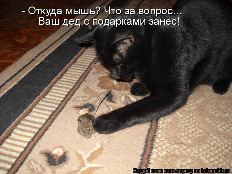 - Откуда мышь? Что за вопрос... Ваш дед с подарками занес!... Котоматрица: - Откуда мышь? Что за вопрос... Ваш дед с подарками занес!