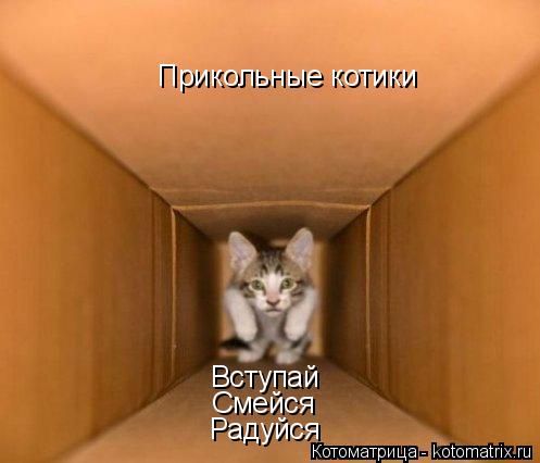 Котоматрица: Прикольные котики Вступай Смейся Радуйся