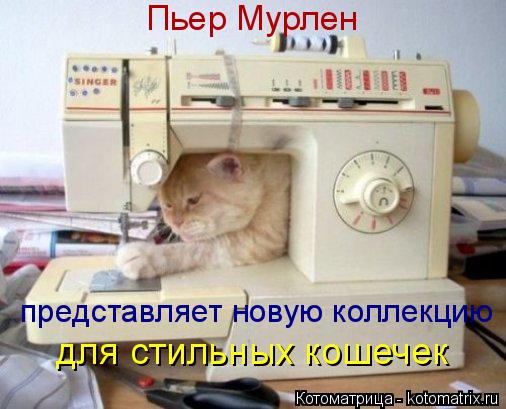 Пьер Мурлен представляет новую коллекцию для стильных кошечек... Котоматрица: Пьер Мурлен представляет новую коллекцию для стильных кошечек