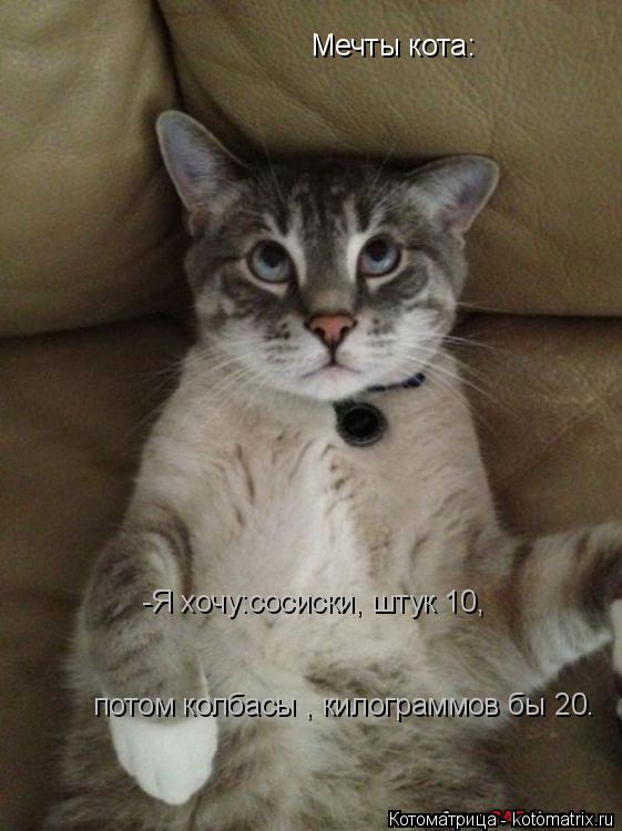 Мечты кота: -Я хочу:сосиски, штук 10, потом колбасы , килограммов бы 20.... Котоматрица: Мечты кота: -Я хочу:сосиски, штук 10, потом колбасы , килограммов бы 20.