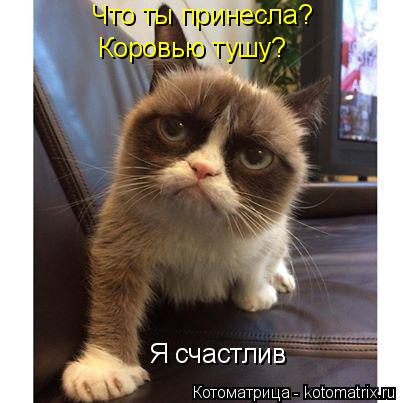Что ты принесла? Коровью тушу? Я счастлив... Котоматрица: Что ты принесла? Коровью тушу? Я счастлив