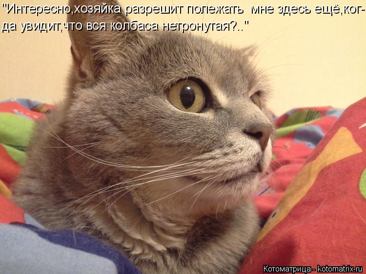 "Интересно,хозяйка разрешит полежать мне здесь ещё,ког- да увидит,что вся колбаса нетронутая?.."... Котоматрица: "Интересно,хозяйка разрешит полежать мне здесь ещё,ког- да увидит,что вся колбаса нетронутая?.."