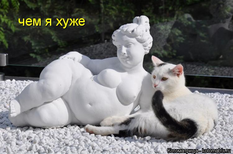чем я хуже... Котоматрица: чем я хуже