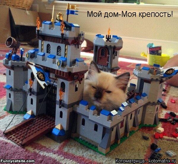 Котоматрица: Мой дом-Моя крепость!
