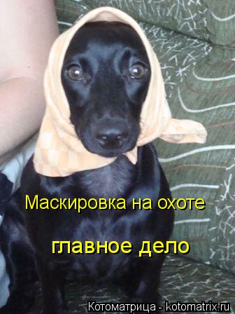 Маскировка на охоте главное дело... Котоматрица: Маскировка на охоте главное дело