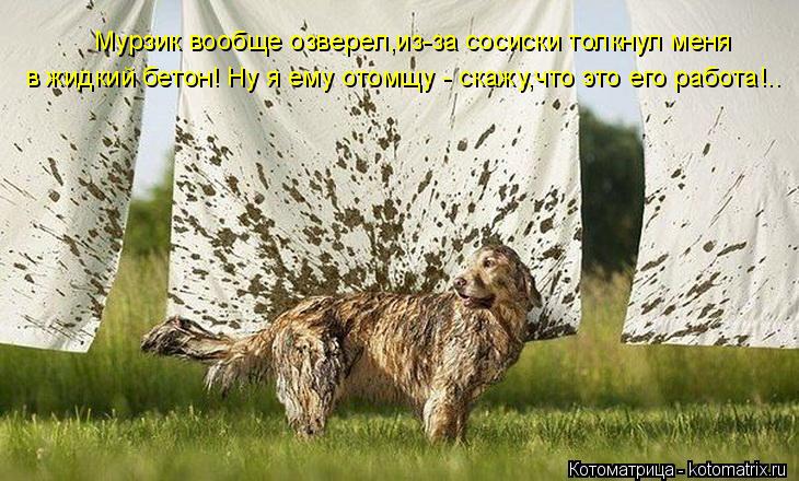 Мурзик вообще озверел,из-за сосиски толкнул меня в жидкий бетон! Ну я ему отомщу - скажу,что это его ... Котоматрица: Мурзик вообще озверел,из-за сосиски толкнул меня в жидкий бетон! Ну я ему отомщу - скажу,что это его работа!..