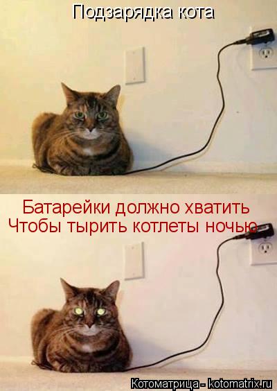 Подзарядка кота Батарейки должно хватить Чтобы тырить котлеты ночью... Котоматрица: Подзарядка кота Батарейки должно хватить Чтобы тырить котлеты ночью