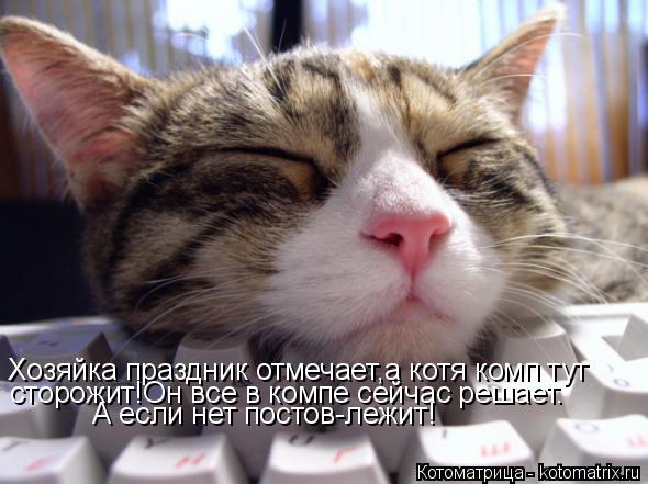 Хозяйка праздник отмечает,а котя комп тут сторожит!Он все в компе сейчас решает. А если нет постов-ле... Котоматрица: Хозяйка праздник отмечает,а котя комп тут сторожит!Он все в компе сейчас решает. А если нет постов-лежит!