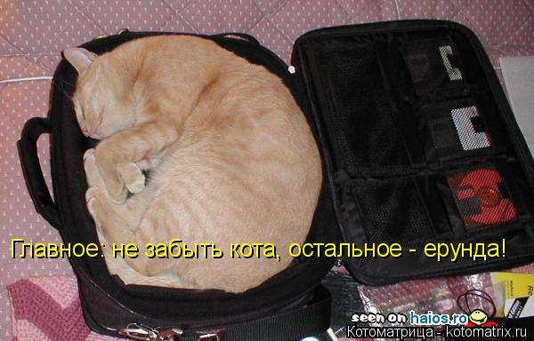 Главное: не забыть кота, остальное - ерунда!... Котоматрица: Главное: не забыть кота, остальное - ерунда!