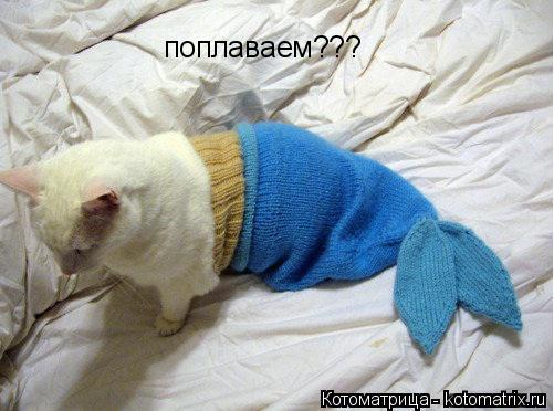 поплаваем???... Котоматрица: поплаваем???