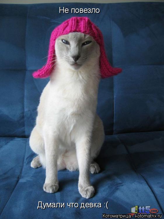 Котоматрица: Не повезло Думали что девка :(