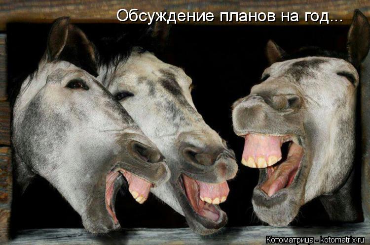 Обсуждение планов на год...... Котоматрица: Обсуждение планов на год...