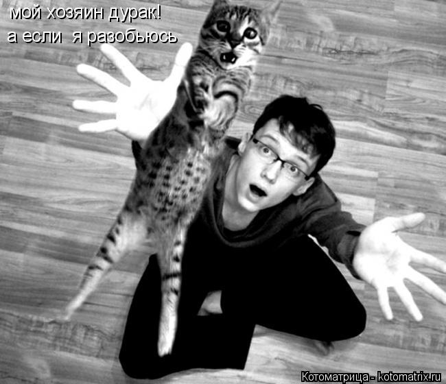 мой хозяин дурак! а если я разобьюсь... Котоматрица: мой хозяин дурак! а если я разобьюсь
