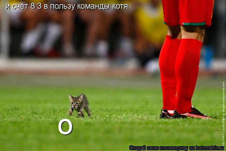 и счёт 8 3 в пользу команды котя о... Котоматрица: и счёт 8 3 в пользу команды котя о