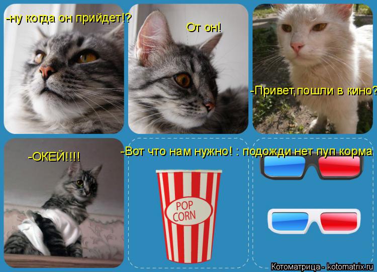 Котоматрица: -ну когда он прийдет!? От он! -Привет,пошли в кино? -ОКЕЙ!!!! -Вот что нам нужно! : подожди нет пуп корма
