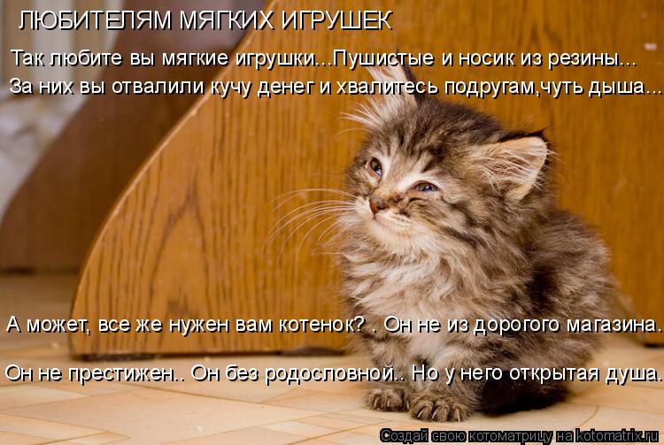 ЛЮБИТЕЛЯМ МЯГКИХ ИГРУШЕК Так любите вы мягкие игрушки...Пушистые и носик из резины... Он не престижен... Котоматрица: ЛЮБИТЕЛЯМ МЯГКИХ ИГРУШЕК Так любите вы мягкие игрушки...Пушистые и носик из резины... Он не престижен.. Он без родословной.. Но у него открытая