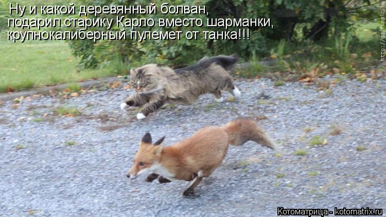 Котоматрица: Ну и какой деревянный болван, подарил старику Карло вместо шарманки, крупнокалиберный пулемет от танка!!!