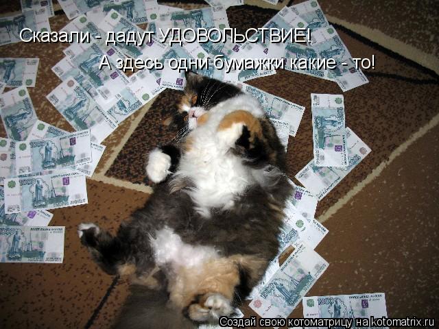 Сказали - дадут УДОВОЛЬСТВИЕ! А здесь одни бумажки какие - то!... Котоматрица: Сказали - дадут УДОВОЛЬСТВИЕ! А здесь одни бумажки какие - то!
