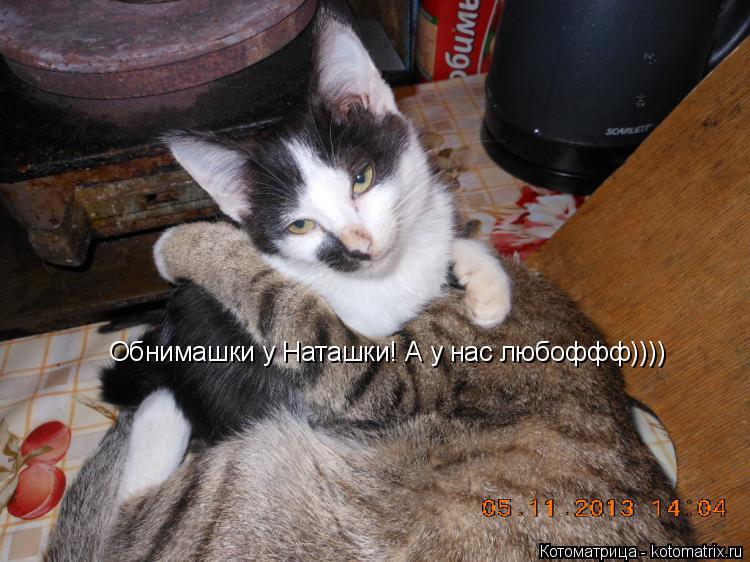 Обнимашки у Наташки! А у нас любоффф))))... Котоматрица: Обнимашки у Наташки! А у нас любоффф))))