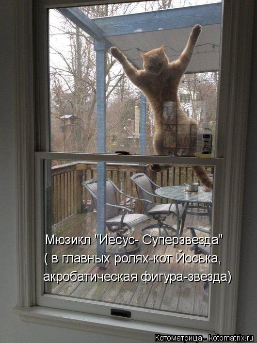 Мюзикл "Иесус- Суперзвезда" ( в главных ролях-кот Йоська, акробатическая фигура-звезда)... Котоматрица: Мюзикл "Иесус- Суперзвезда" ( в главных ролях-кот Йоська, акробатическая фигура-звезда)