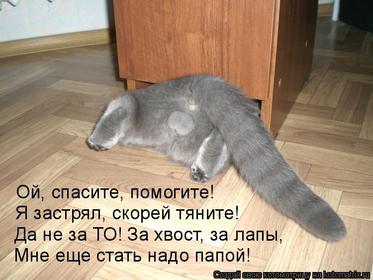 http://kotomatrix.ru/images/lolz/2014/01/06/kotomatritsa_C.jpg